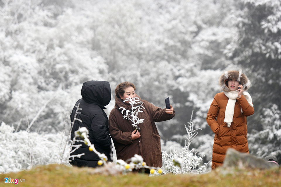 Du khách băng rừng săn tuyết Sa Pa
